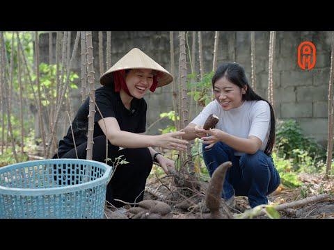 Ánh Kua's Heartwarming Charity: Distributing 2500 Potato Cakes in Củ Chi