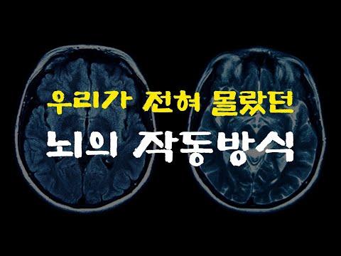 [한국어] 뇌의 작동 방식을 알고 놀라움의 힘을 통해 변화를 이끄는 방법