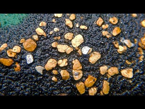 Uncovering Gold Treasures: A Prospector's Journey