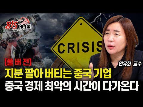 중국 경제위기에 대한 안유화 교수의 토론