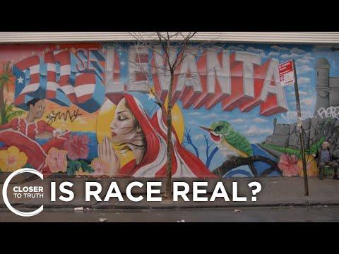 Exploring the Reality of Race: A Philosophical Perspective