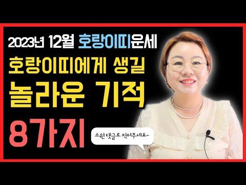 12월 호랑이띠운세: 애정운, 직장운, 금전운, 사업운, 대인운, 처신법, 수호신, 행운컬러