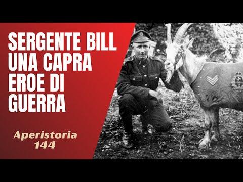 The Remarkable Story of Sergeant Bill: The War Hero Goat