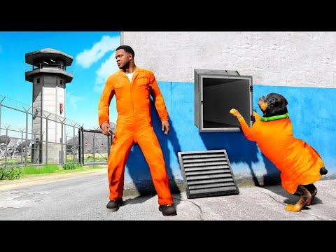 Unleash the Thrill: GTA 5 Prison Escape Adventure