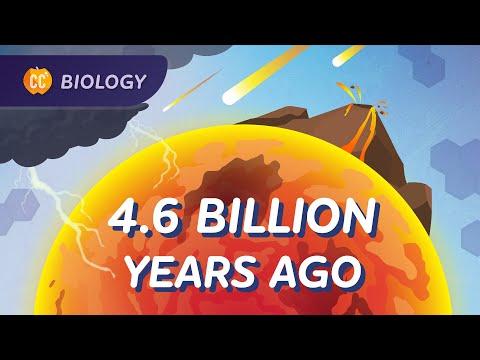 The History of Earth: From Hot Mess to Diverse Life Forms