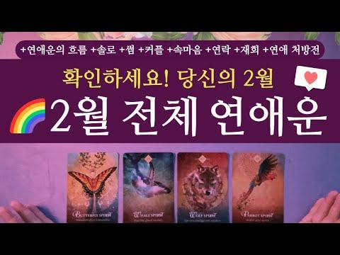 [타로 연애운] 2월 전체 연애운