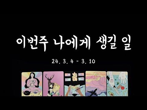 [타로] 주간 운세: 이번주 나의 일과 사랑