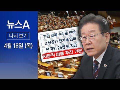 국회가 직접 정책 결정, 민주당의 법안 처리와 대통령의 거부권