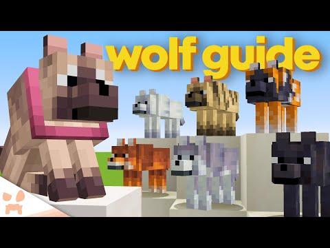 The Ultimate Guide to Minecraft Wolves: New Dog Types, Armor, and More!