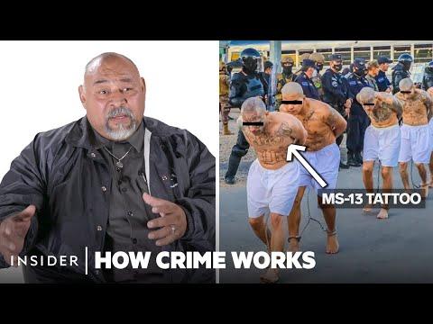 Unveiling the Intricacies of MS-13 Gang Operations