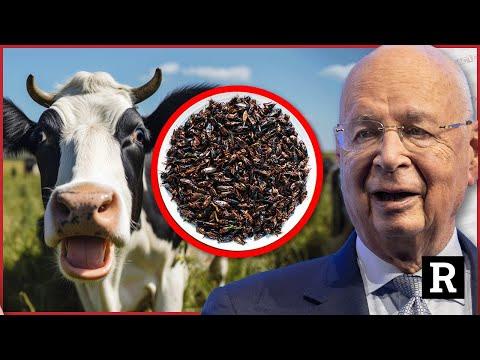 The WEF's Agenda to Replace Beef with Bugs: Unveiling the Globalist Plan