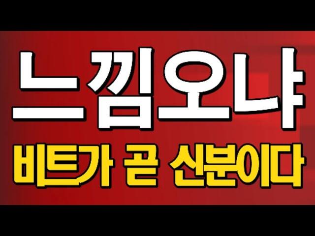 비트코인 및 암호화폐 시장 최신 업데이트