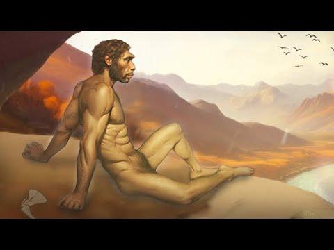Discovering Homo Antecessor: A Glimpse into Early Human Evolution