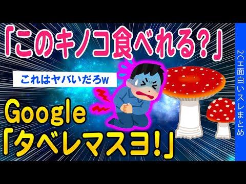 キノコに関するGoogle検索機能と画像検索の重要性