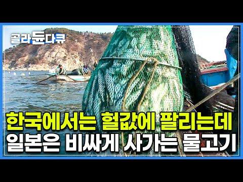 한국어민들의 어장 이야기: 풍어로 인한 변화와 고민