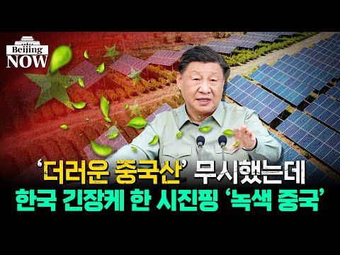 중국의 원전과 재생 에너지: 미래를 이끌어가는 새로운 에너지 혁명