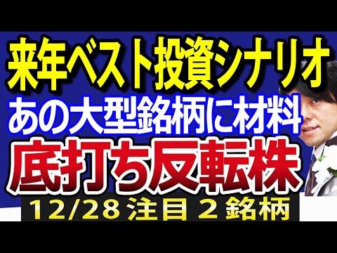 2024年の日本株投資シナリオ：大型銘柄の好材料と先行き予測