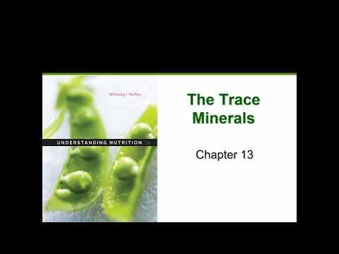 The Importance of Trace Minerals in Nutrition