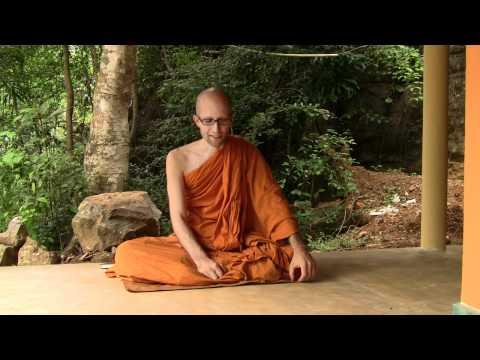 Understanding Euthanasia: Insights from a Monk