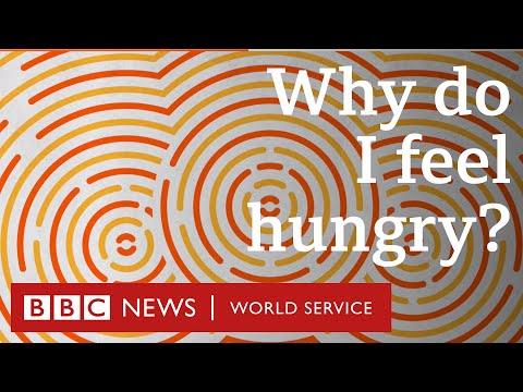 The Science of Food: How Our Senses Affect Eating Habits
