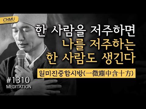 귓전명상대학 1310일차 수행: 근심 걱정 부질없음을 깨닫는 발언