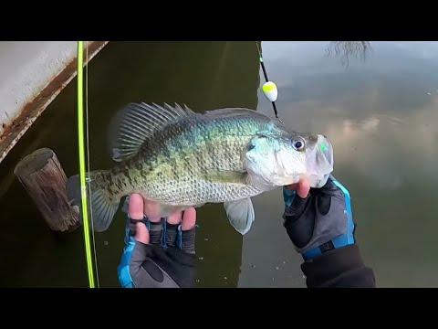 Mastering the Art of Crappie Fishing: Double Jig Rig Techniques Revealed