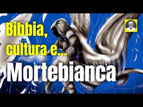 Explorando la Cultura y la Biblia en YouTube: Reflexiones del Profesor y Mortebianca