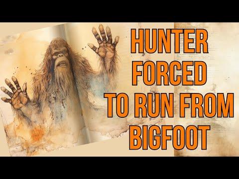 Terrifying Encounter with Sasquatch in Oregon Woods: A Hunter's Tale
