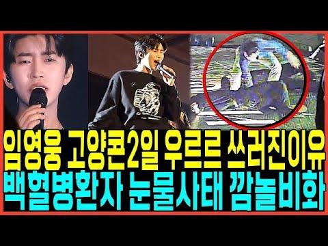 임영웅 고양콘서트 2일차 현장증언 - 눈물사태와 깜놀비화까지!