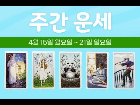 주간 운세: 4월 셋째 주 타로 카드를 통한 예측