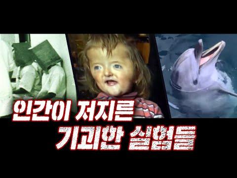 인간이 저지른 기괴한 실험들: 돌고래 학대부터 지하감옥까지