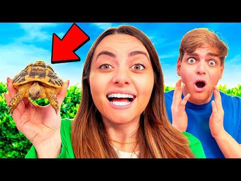 The Heartwarming Tale of Dani and Her Secretly Adopted Pet 🐢