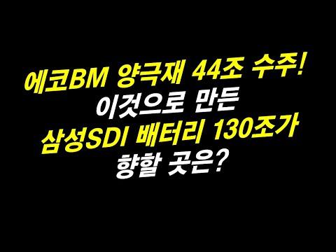 에코프로비엠과 삼성SDI: 전망과 동향