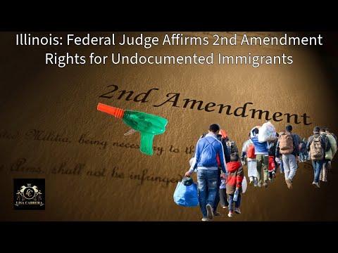 Controversy over Illegal Immigrants' Gun Rights in the US