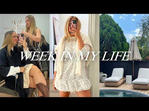 Exciting Updates and Insights from a Lifestyle Vlogger