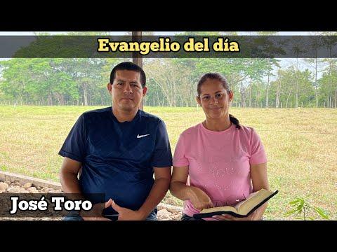 Descubre la Palabra de Dios: Reflexiones del Evangelio del Día