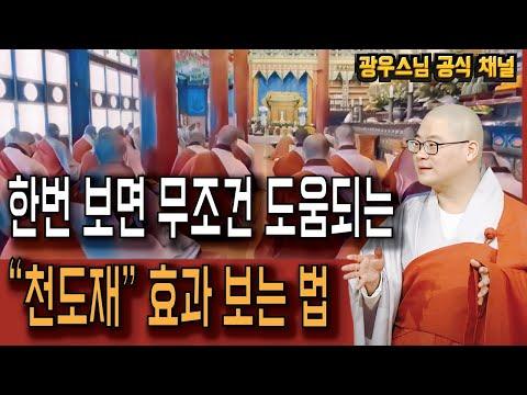 광우스님의 천도재를 지나는 법 20회 (하) - 깊은 통찰과 헌신의 삶