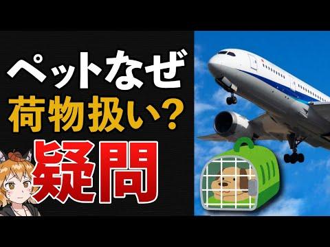 なぜ一緒に逃げられない？ペットが荷物扱いの本当の理由