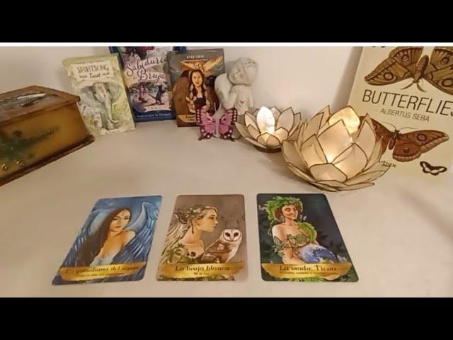 Descubre cómo te perciben a través del Tarot Interactivo