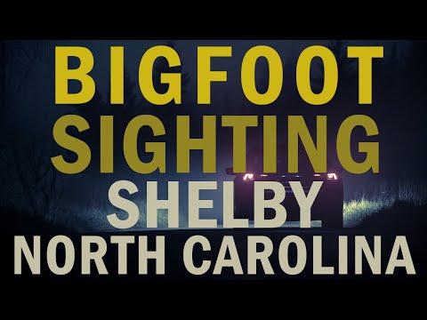 Unveiling the Mysterious Encounter: Bigfoot Sighting in Shelby, NC