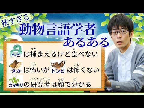 動物言語学者あるある：森の中での生活と観察の秘密