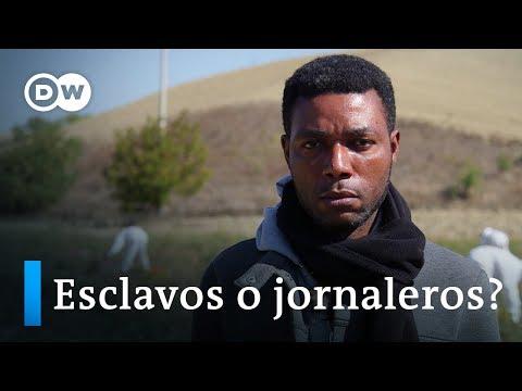 ¿Esclavitud en Italia? | DW Documental - Descubre la lucha de Iván por los derechos de los trabajadores inmigrantes