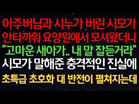 가족 간의 갈등으로 펼쳐지는 아주버님과 시누의 이야기