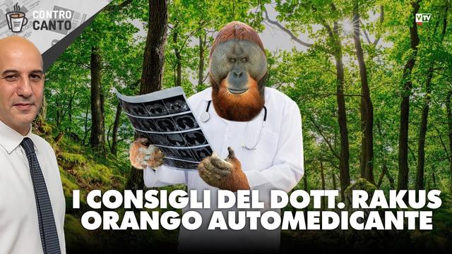 The Fascinating World of Orangutan Medicine: Insights from Dr. Rakus