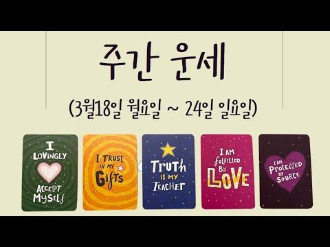 [타로/주간운세] 3월 넷째 주/직장/금전/시험/계약/관계/애정/컨디션