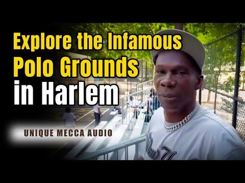 Uncovering the Hidden Gems of the Polo Grounds in Harlem