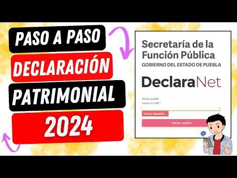 Guía completa para realizar la declaración patrimonial 2024