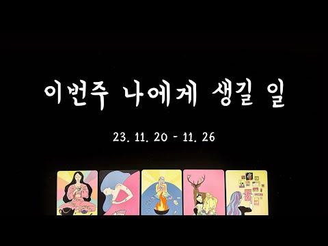 주간 타로운세: 이번 주의 운세와 전망