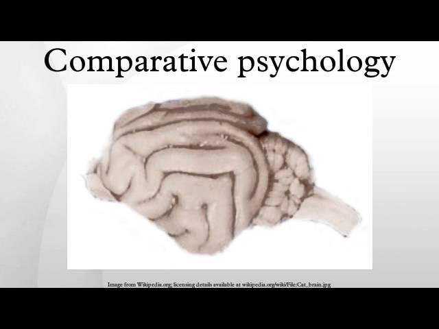 Unlocking the Secrets of Comparative Psychology: A Comprehensive Guide