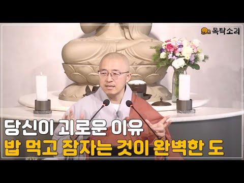 불교의 지혜: 삶 속의 깨달음과 통찰